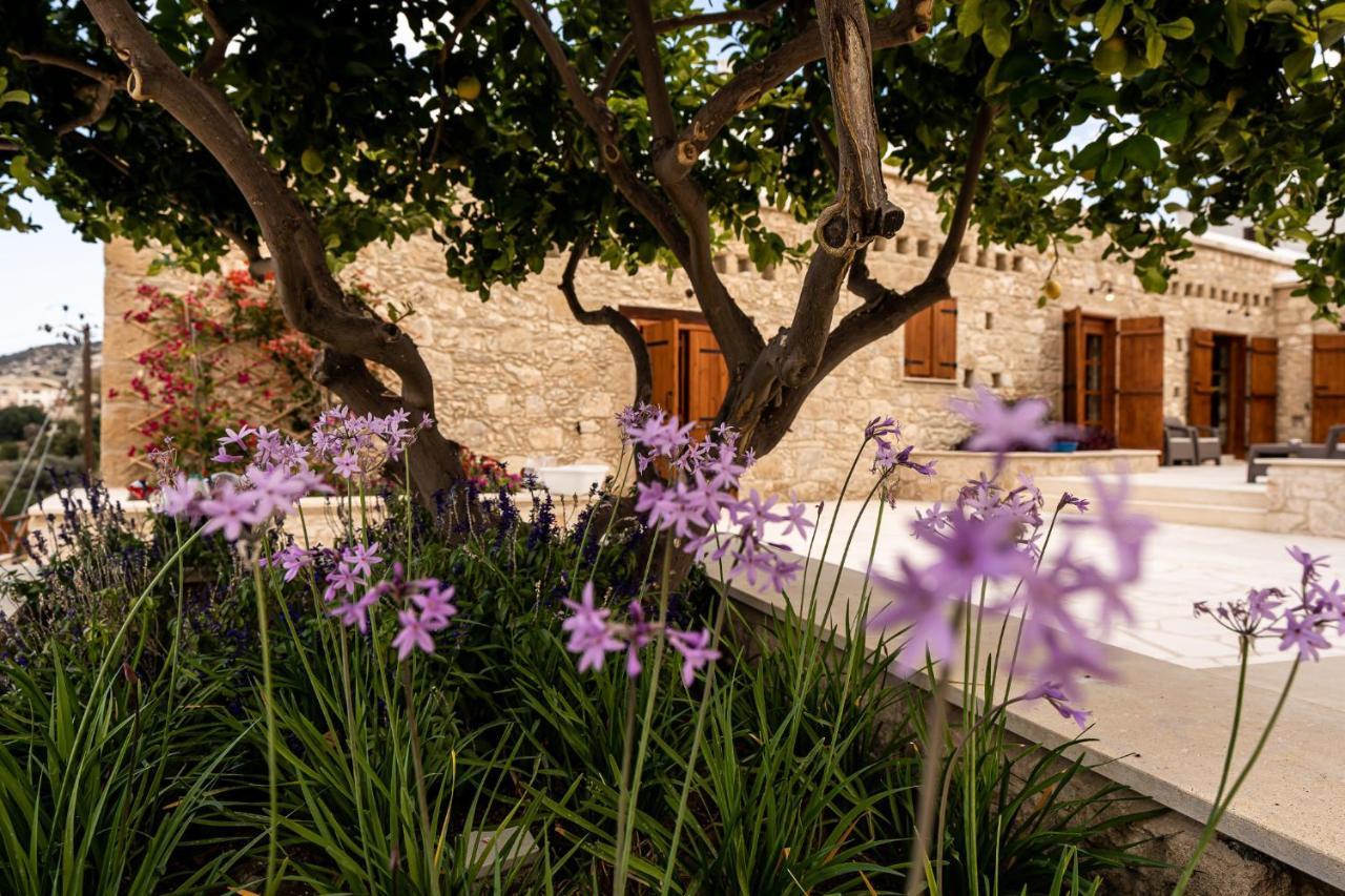 Harma Traditional Boutique Suites Paphos Exteriör bild